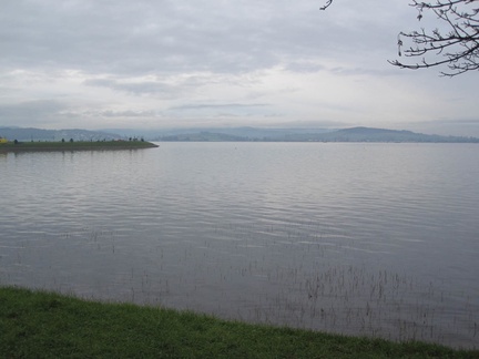 Exe Estuary