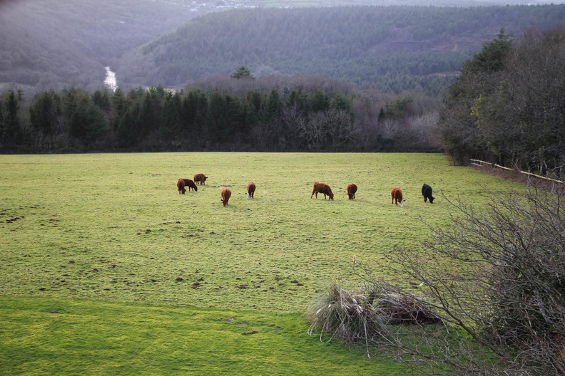 Horn of Plenty