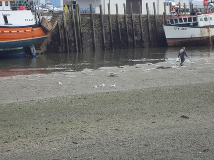 Looe
