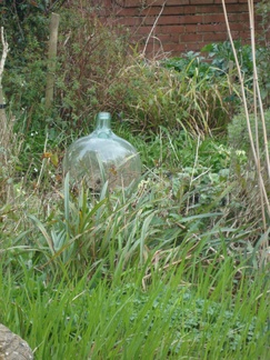 DSC05919