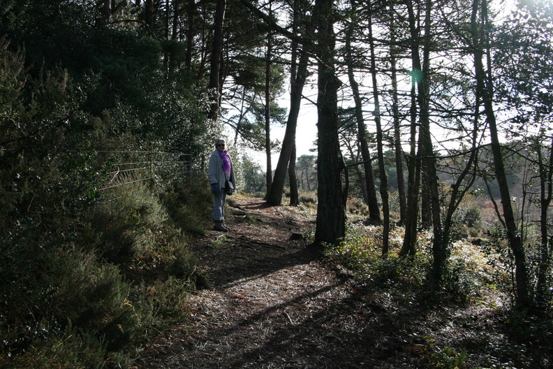 Bystock Ponds