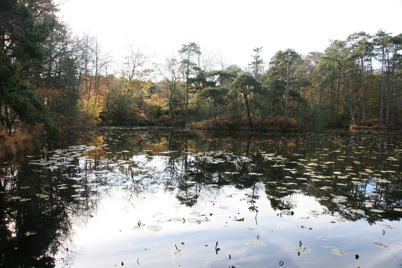 Bystock Ponds