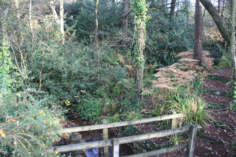 Bystock Ponds