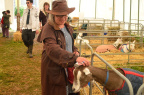 Devon County Show