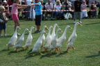 2005