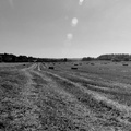 Newbridge