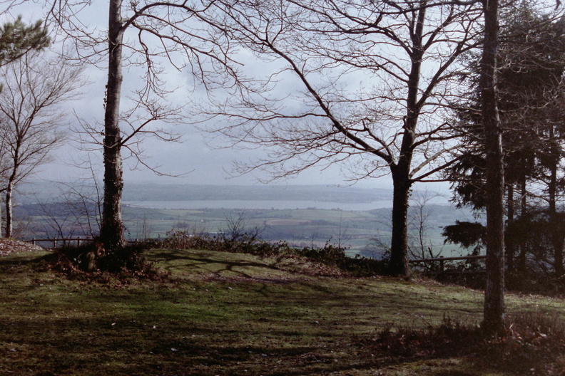 Haldon
