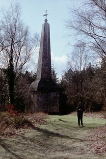 Haldon