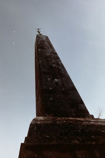 Haldon