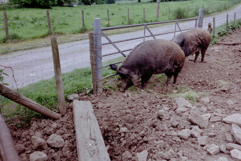 Chewton Mendip