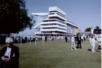 Ascot