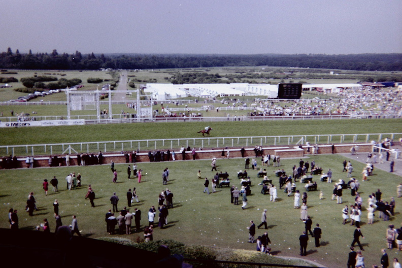 Ascot