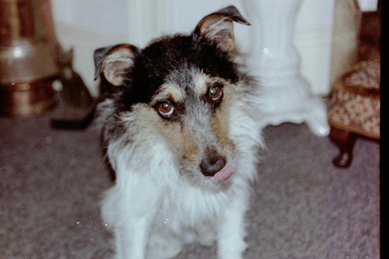 Stolley