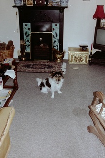 Stolley