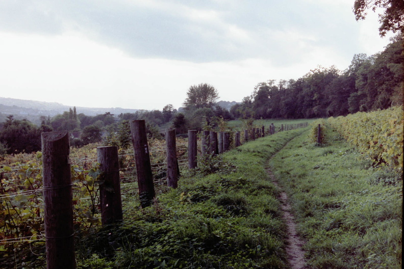 Around Bailbrook Lane