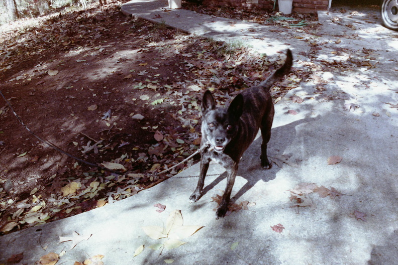 USA 1988 - Max