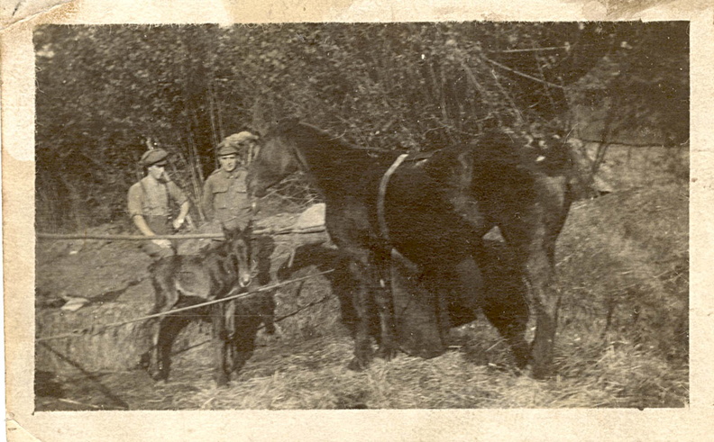 France 1915
