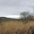 Budleigh Salterton