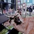 20120713-PICT0027