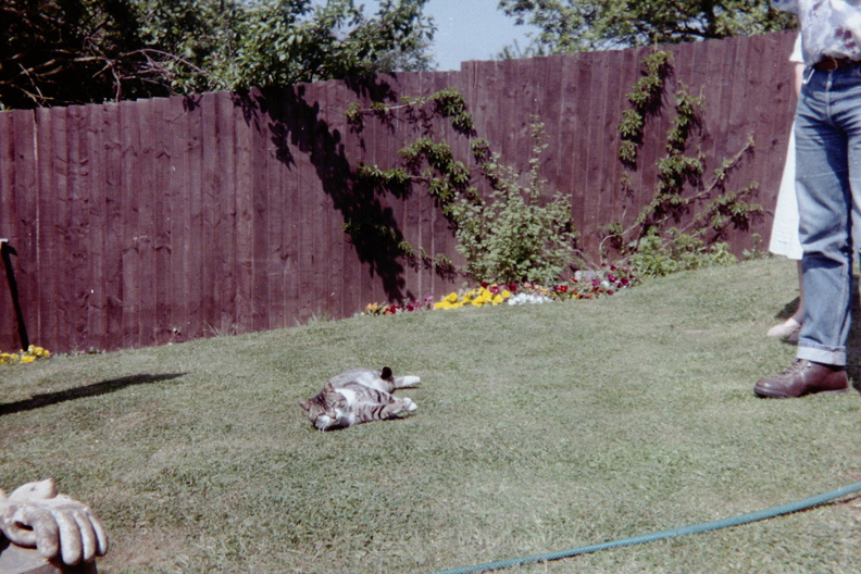 At the folk's house in Peasedown
