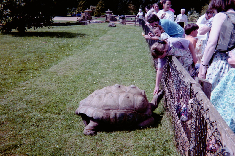 Cotswold Wildlife Park