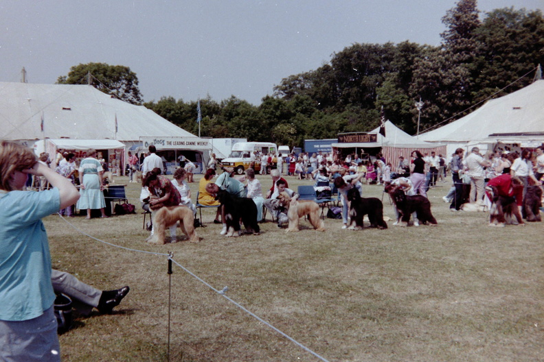 Bath Dog Show