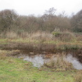 Dawlish Warren walk