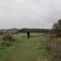 Dawlish Warren walk