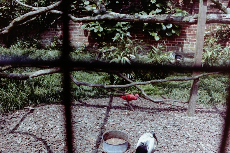 Longleat?