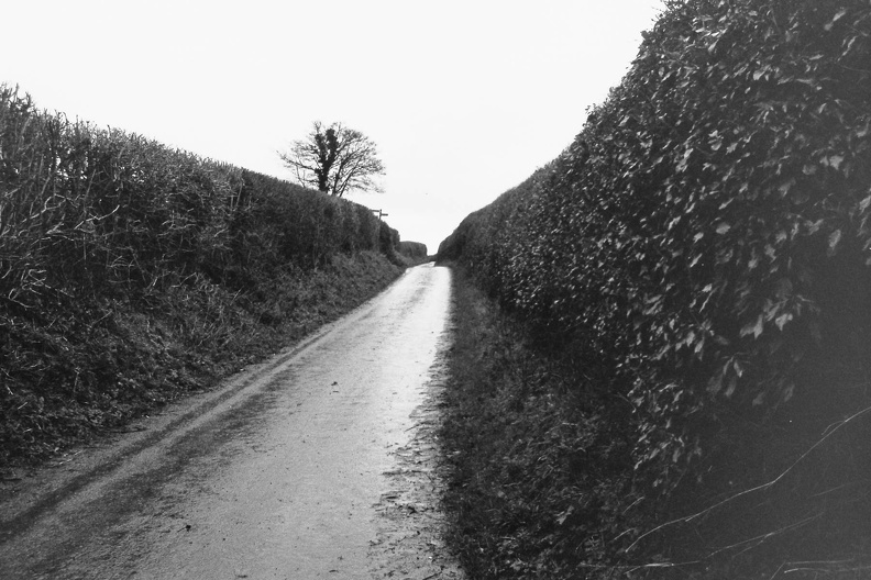 A lane close to Bailbrook