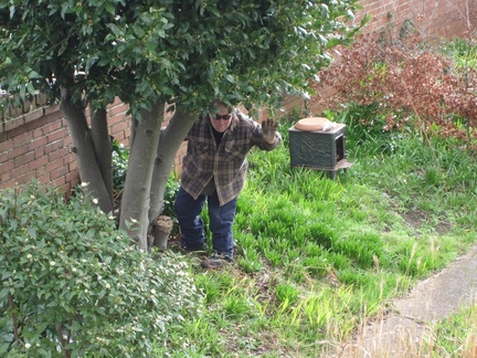Working in the garden