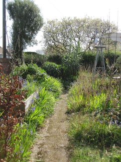 Garden in April