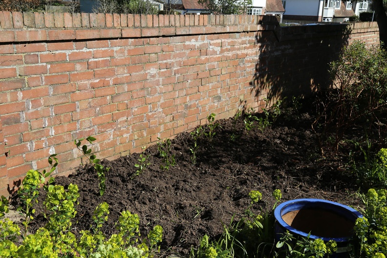 Preparing for the new hedge