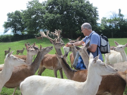World of Country Life