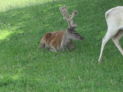 World of Country Life