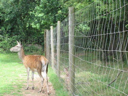 World of Country Life