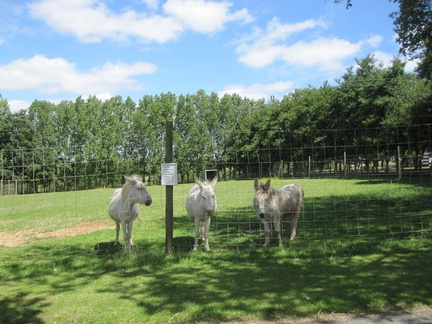 World of Country Life