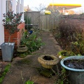 Side garden early January