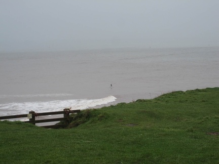 February surfer