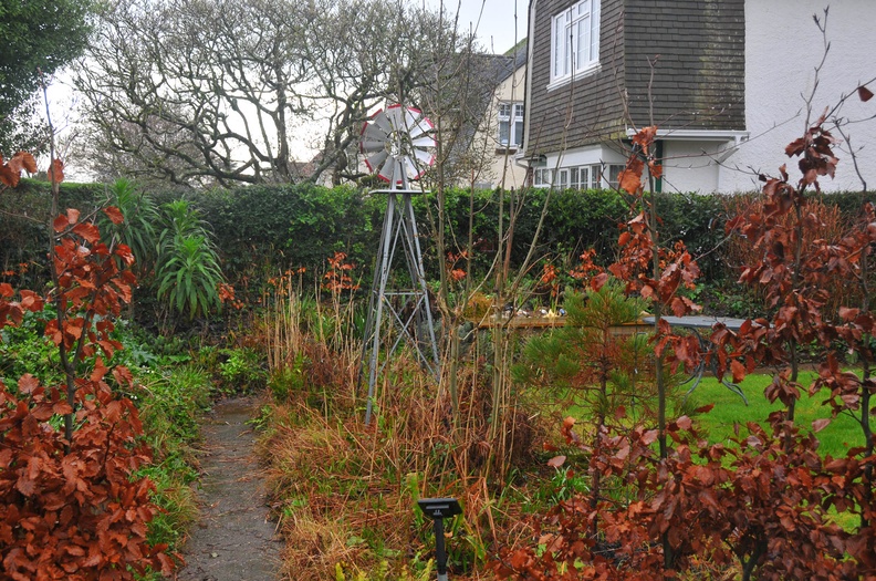 The garden in February
