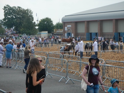 Devon County Show 2021