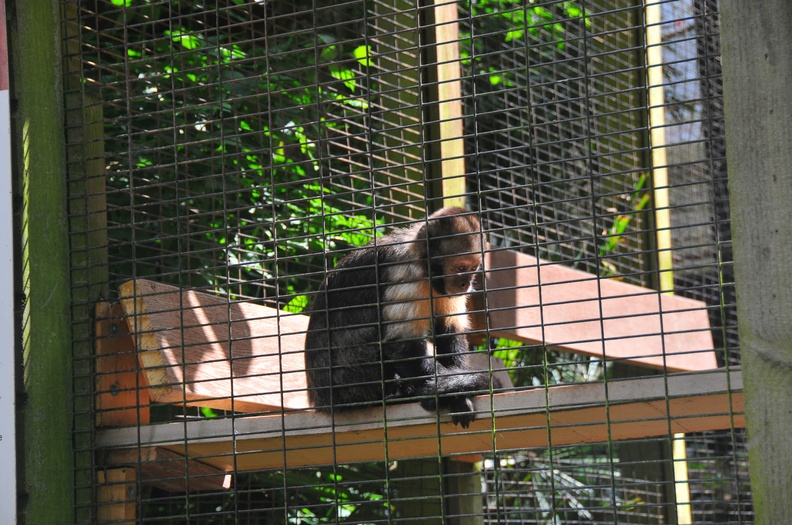 Shaldon Zoo