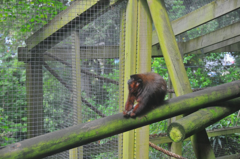 Shaldon Zoo