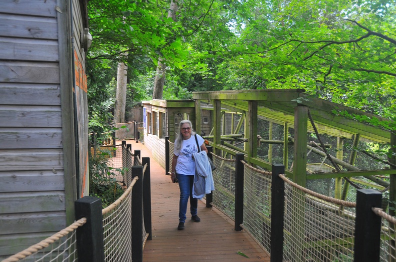Shaldon Zoo