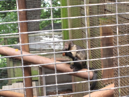 Shaldon Zoo