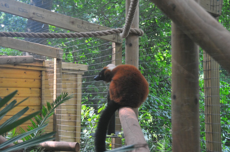 Shaldon Zoo