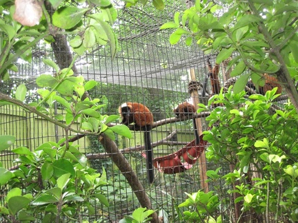 Shaldon Zoo