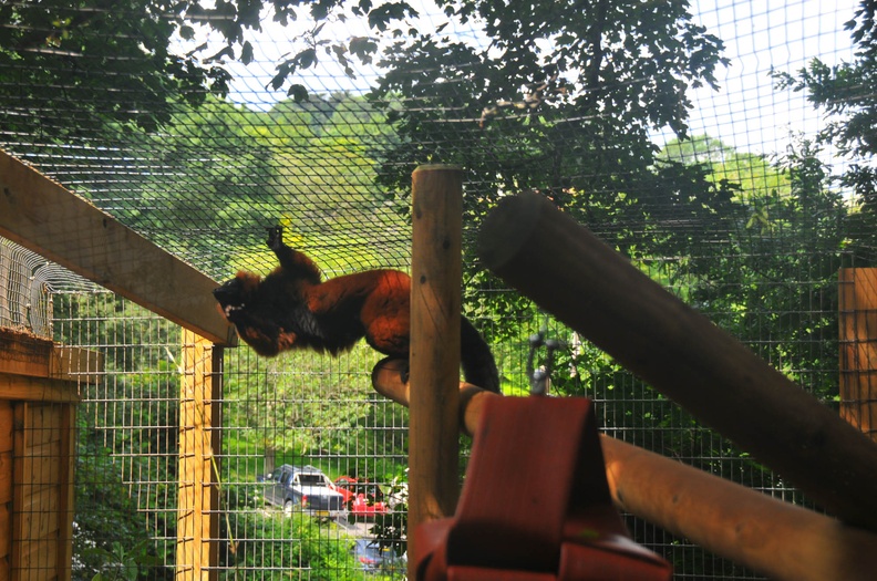 Shaldon Zoo