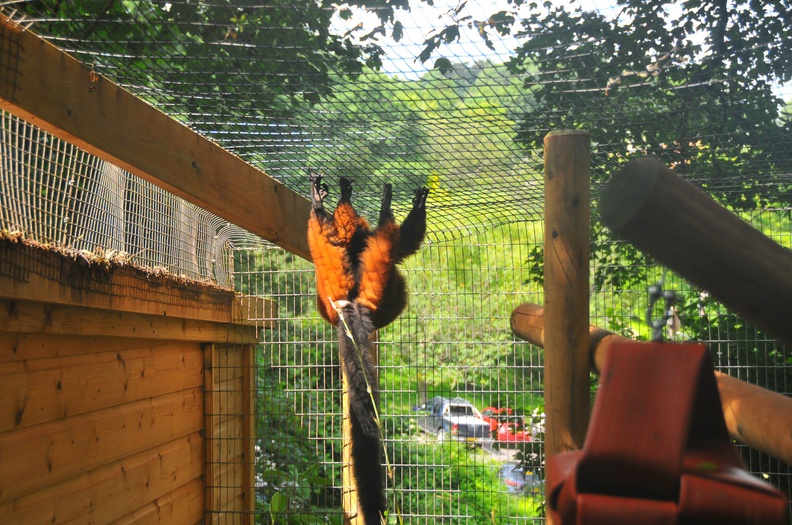 Shaldon Zoo