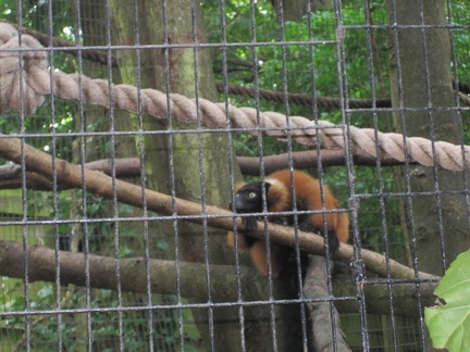 Shaldon Zoo